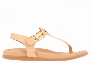 Ancient Greek Sandals Alki Flip Flop Achterband Sandalen Dames Beige | RWI9587YC