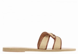 Ancient Greek Sandals Desmos Schuifsandalen Dames Beige Bruin | XVY898EI