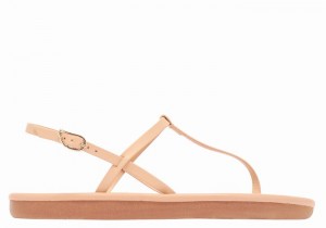 Ancient Greek Sandals Lito Flip Flop Achterband Sandalen Dames Beige | IKD8067AA