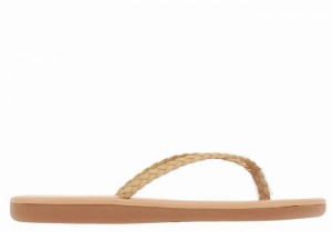 Ancient Greek Sandals Plage Flip Flop Gevlochten Sandalen Dames Beige | TOM2073WW