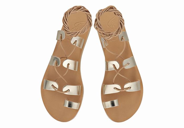 Ancient Greek Sandals Alcyone Leather Gladiator Sandalen Dames Goud Wit | DEH6183YP