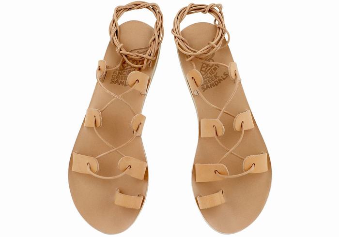 Ancient Greek Sandals Alcyone Leather Gladiator Sandalen Dames Beige | EAA7386WM