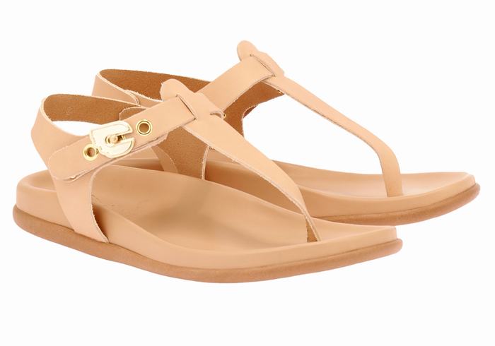 Ancient Greek Sandals Alki Flip Flop Achterband Sandalen Dames Beige | RWI9587YC