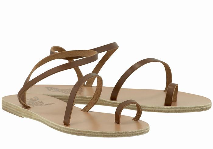 Ancient Greek Sandals Apli Eleftheria Leather Vissers Sandalen Dames Donkerbruin | SFM5148HL