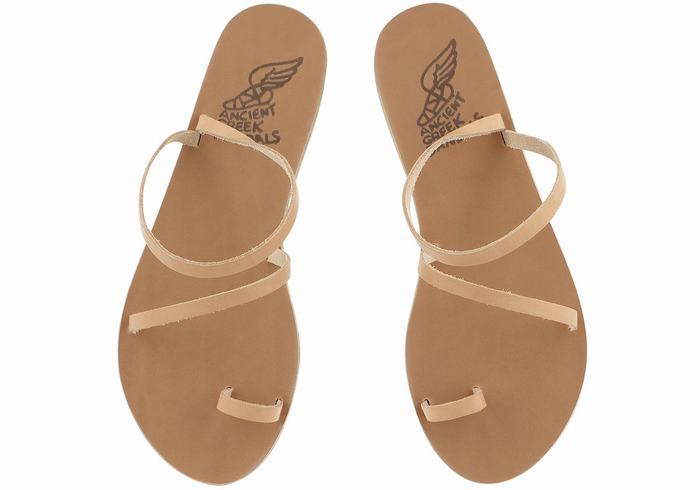 Ancient Greek Sandals Apli Eleftheria Leather Teenpaal Sandalen Dames Beige | EJD5330MD