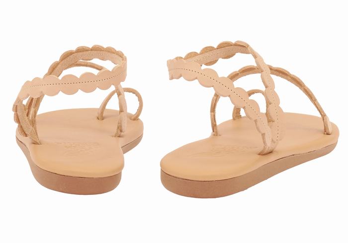 Ancient Greek Sandals Aura Teenpaal Sandalen Dames Beige | BTR3266ZT