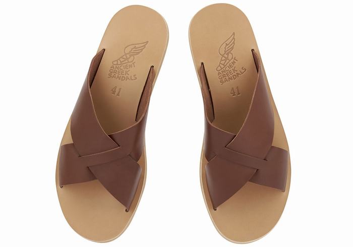 Ancient Greek Sandals Bios Schuifsandalen Heren Koffie | KQX4320NG