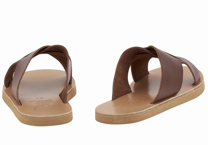 Ancient Greek Sandals Bios Schuifsandalen Heren Koffie | KQX4320NG