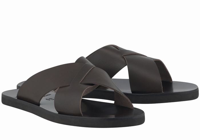 Ancient Greek Sandals Bios Schuifsandalen Heren Chocola | PLO7883HY