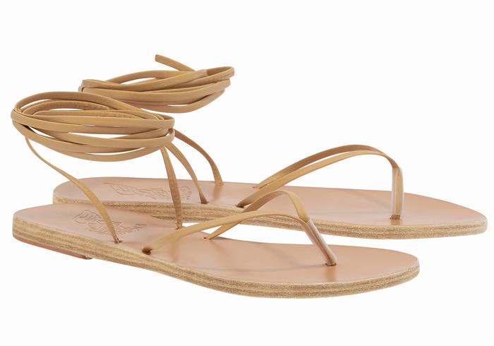 Ancient Greek Sandals Celia Gladiator Sandalen Dames Beige | WRT653PE