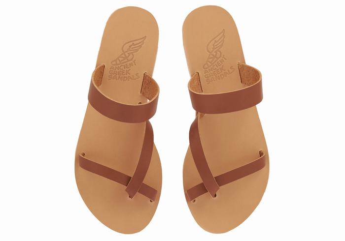 Ancient Greek Sandals Daphnae Leather Schuifsandalen Dames Donkerbruin | LTI7978UX