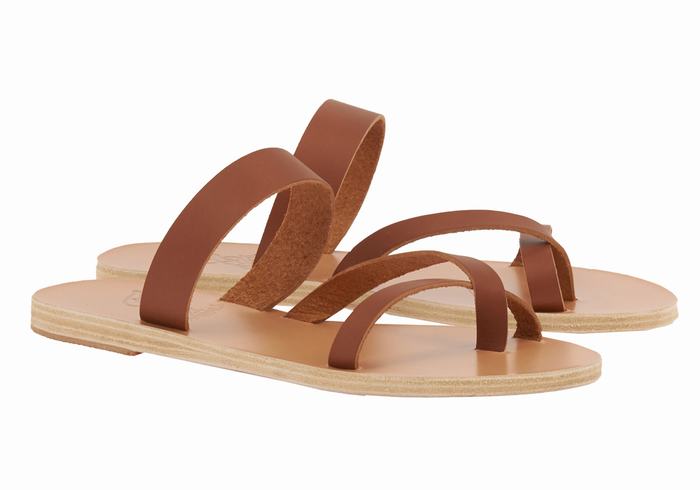 Ancient Greek Sandals Daphnae Leather Schuifsandalen Dames Donkerbruin | LTI7978UX