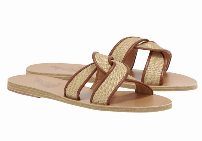 Ancient Greek Sandals Desmos Schuifsandalen Dames Beige Bruin | XVY898EI