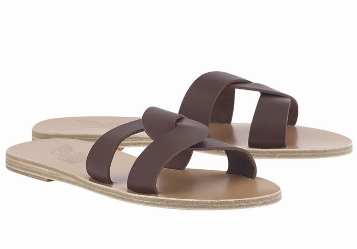 Ancient Greek Sandals Desmos Schuifsandalen Dames Koffie | HRU498XE