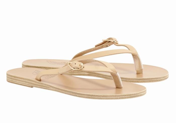 Ancient Greek Sandals Dihalo Leather Teenslippers Dames Beige | UAO9144MF