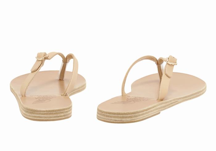 Ancient Greek Sandals Dihalo Leather Teenslippers Dames Beige | UAO9144MF