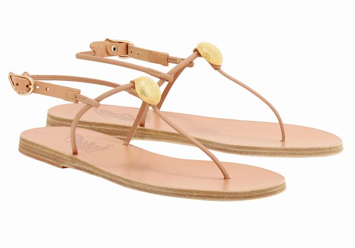 Ancient Greek Sandals Dimitra Flip Flop Achterband Sandalen Dames Beige | ASD533BS