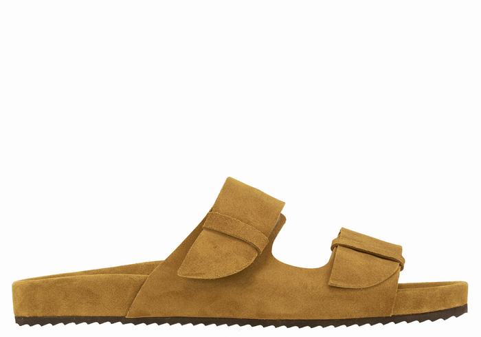 Ancient Greek Sandals Diogenis Pantoffels Heren Bruin | JDP6713YM