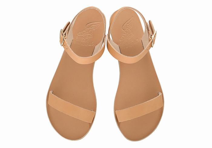 Ancient Greek Sandals Drama New Leather Casual Sandalen Dames Beige | KHA5451YO