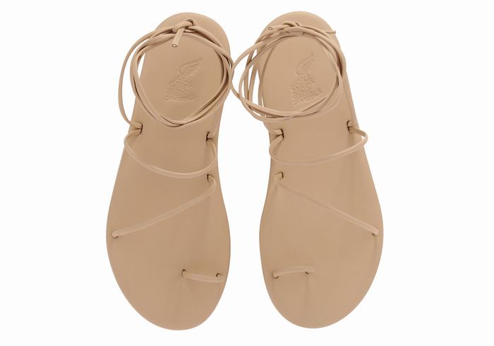 Ancient Greek Sandals Du Teenpaal Sandalen Dames Beige | SAZ6283NF