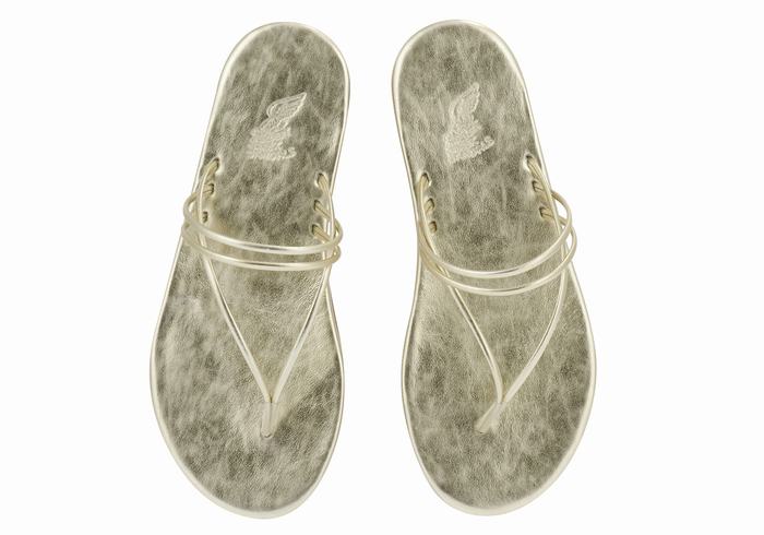 Ancient Greek Sandals E Teenslippers Dames Goud Wit | VRH6549QF