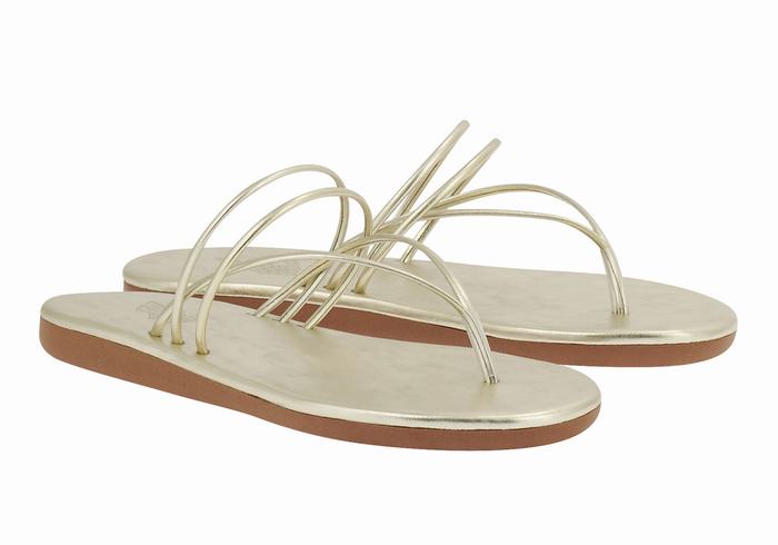 Ancient Greek Sandals E Teenslippers Dames Goud Wit | VRH6549QF