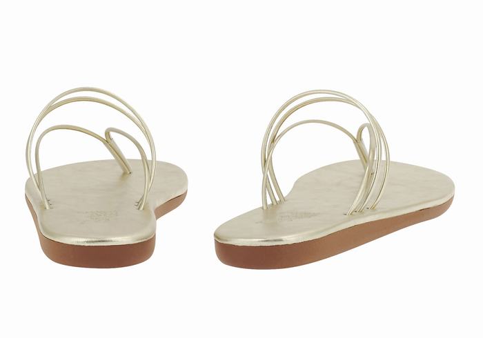 Ancient Greek Sandals E Teenslippers Dames Goud Wit | VRH6549QF