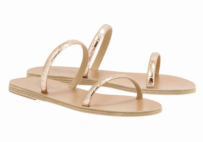 Ancient Greek Sandals Echidna Schuifsandalen Dames Roze Goud | AZD7319PG