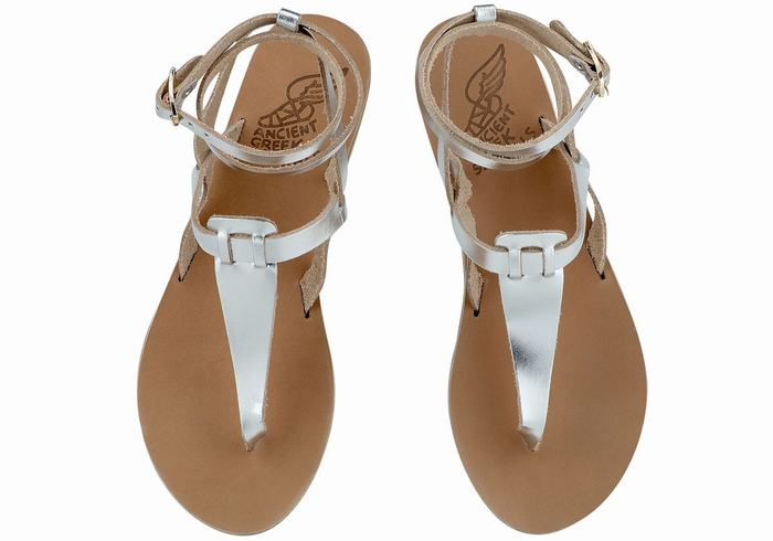 Ancient Greek Sandals Estia Leather Sandalen Met Enkelbandje Dames Zilver | GCJ6815JV