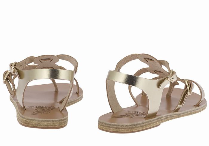 Ancient Greek Sandals Grace Kelly Leather Casual Sandalen Dames Goud Wit | VJW8983XJ