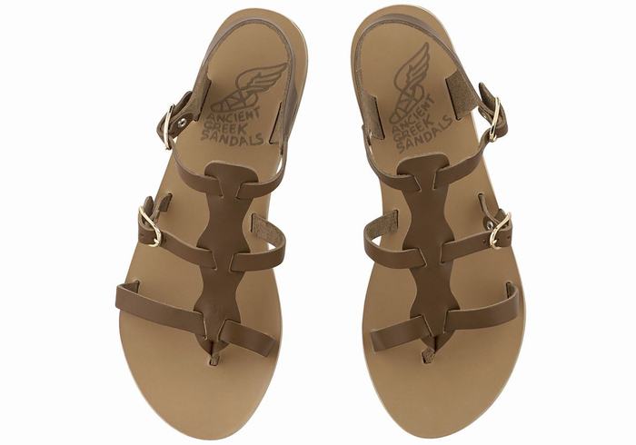 Ancient Greek Sandals Grace Kelly Leather Casual Sandalen Dames Donkerbruin | MPH943ML