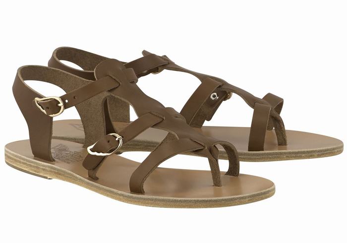 Ancient Greek Sandals Grace Kelly Leather Casual Sandalen Dames Donkerbruin | MPH943ML