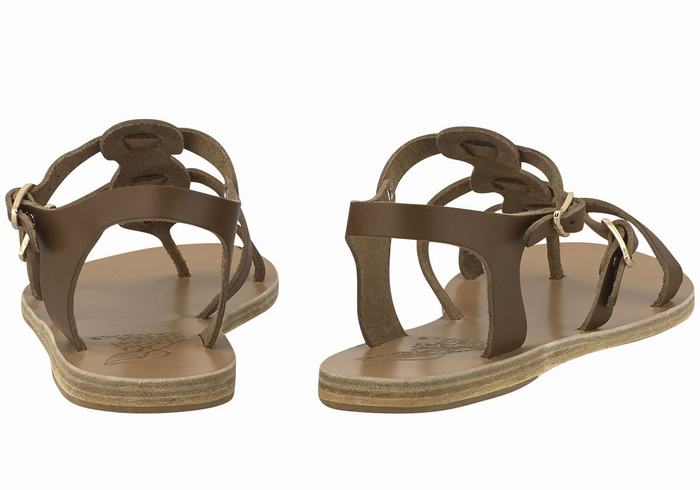 Ancient Greek Sandals Grace Kelly Leather Casual Sandalen Dames Donkerbruin | MPH943ML