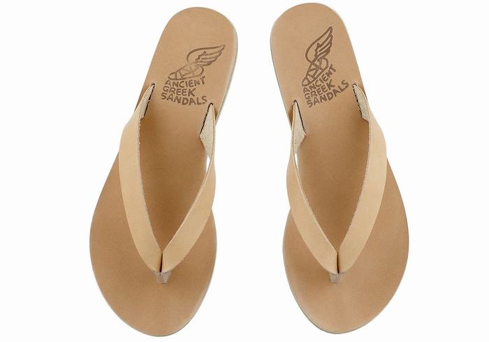 Ancient Greek Sandals Hera Leather Teenslippers Dames Beige | LHF1455YQ