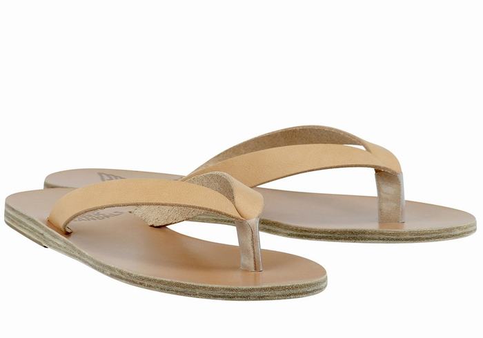 Ancient Greek Sandals Hera Leather Teenslippers Dames Beige | LHF1455YQ