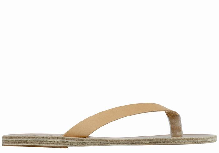 Ancient Greek Sandals Hera Leather Teenslippers Dames Beige | LHF1455YQ