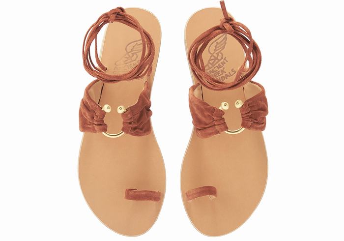 Ancient Greek Sandals Kerasia Gladiator Sandalen Dames Koffie | NID5793IR