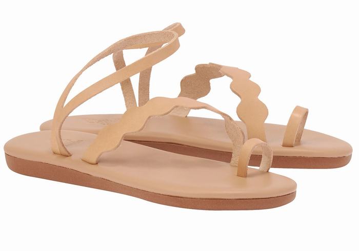 Ancient Greek Sandals Koralia Teenpaal Sandalen Dames Beige | ULC9631PG