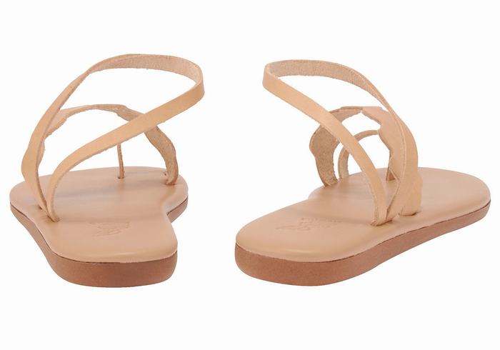 Ancient Greek Sandals Koralia Teenpaal Sandalen Dames Beige | ULC9631PG