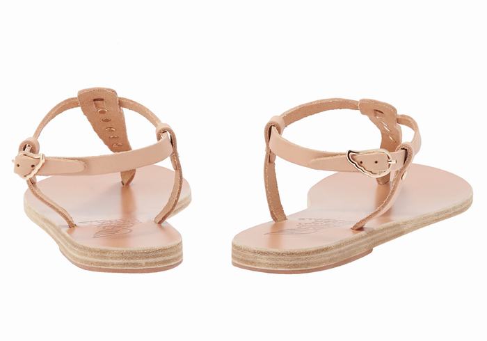 Ancient Greek Sandals Lito Bee Achterband Sandalen Dames Beige | COB434XG