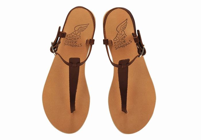 Ancient Greek Sandals Lito Flip Flop Leather Achterband Sandalen Dames Koffie | HJV585UZ