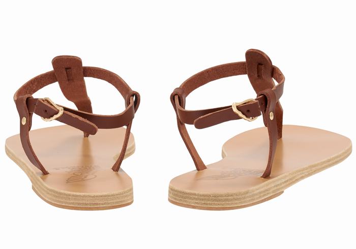 Ancient Greek Sandals Lito Flip Flop Leather Achterband Sandalen Dames Koffie | HJV585UZ