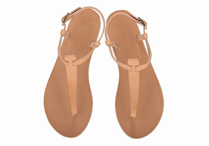 Ancient Greek Sandals Lito Flip Flop Leather Achterband Sandalen Dames Beige | VJQ8712UR