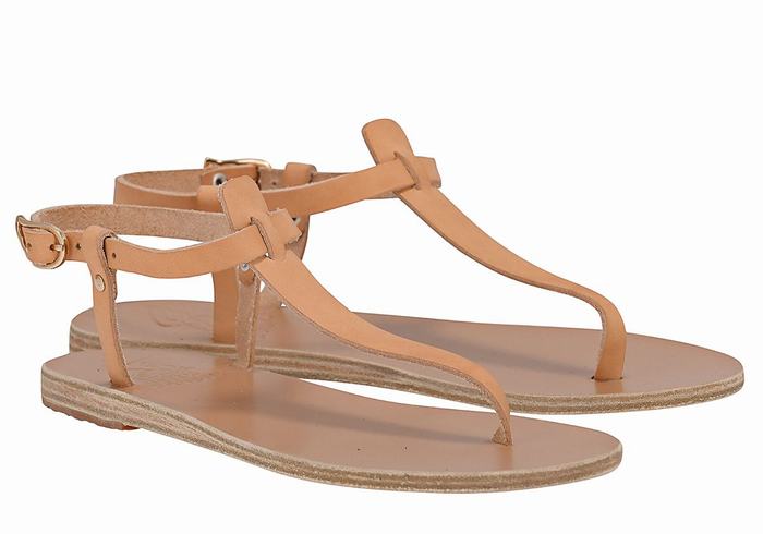 Ancient Greek Sandals Lito Flip Flop Leather Achterband Sandalen Dames Beige | VJQ8712UR