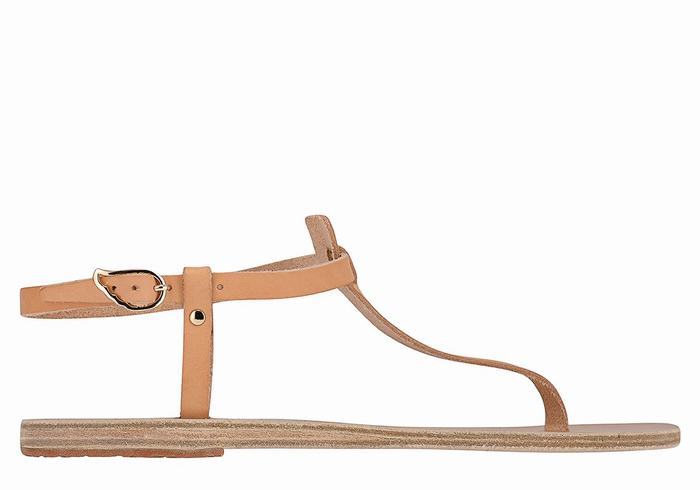 Ancient Greek Sandals Lito Flip Flop Leather Achterband Sandalen Dames Beige | VJQ8712UR