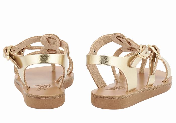 Ancient Greek Sandals Little Grace Kelly Soft Platte Sandalen Kinderen Goud Wit | YZI260UK