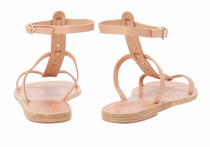 Ancient Greek Sandals Meliti Bee Sandalen Met Enkelbandje Dames Beige | YRE9634BS