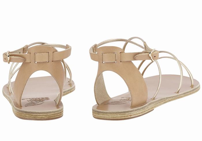 Ancient Greek Sandals Meloivia Sandalen Met Enkelbandje Dames Beige Goud Wit | JKI4735LJ