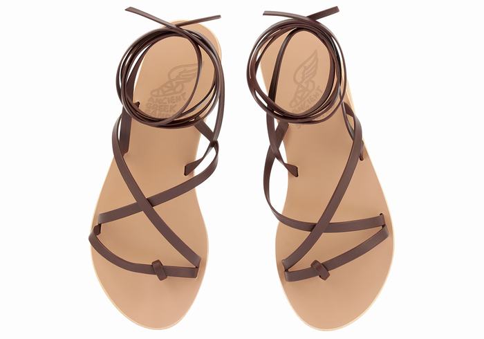 Ancient Greek Sandals Morfi Leather Gladiator Sandalen Dames Koffie | HZG1428ZS