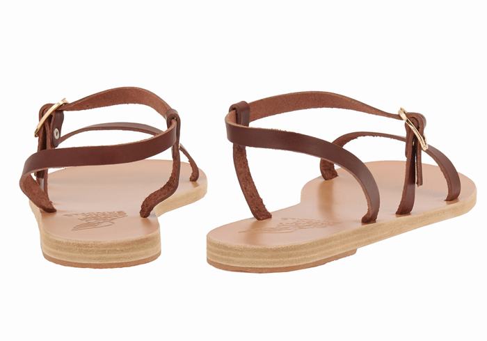 Ancient Greek Sandals Niove Leather Achterband Sandalen Dames Koffie | ANN7673DQ